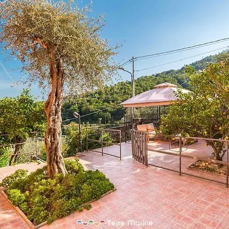 Il Giardino Delle Meraviglie *