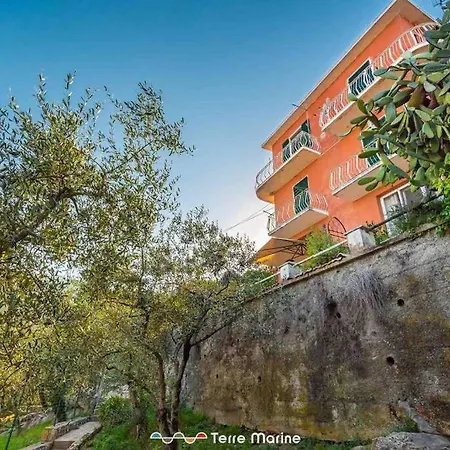 Il Giardino Delle Meraviglie